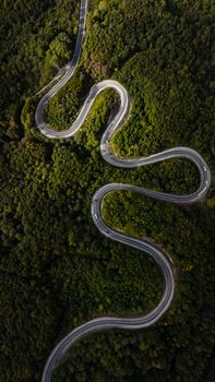 Geheimnisvoller Wald & Straße – Sportwagen Wallpaper (von slam Abruev, 4536×8064, #38329070)