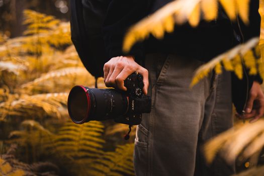 Photographer holding a camera amidst golden autumn ferns outdoors.