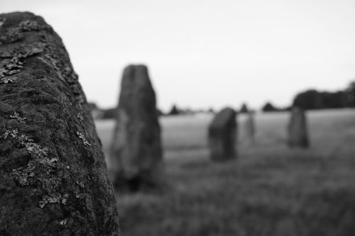 Free stock photo of black amp white, black and white photography, focus Stock Photo