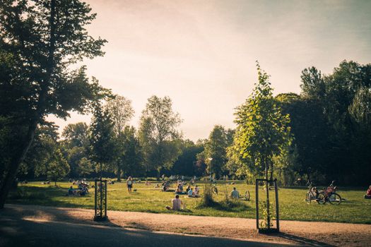 vondelpark amsterdam dog