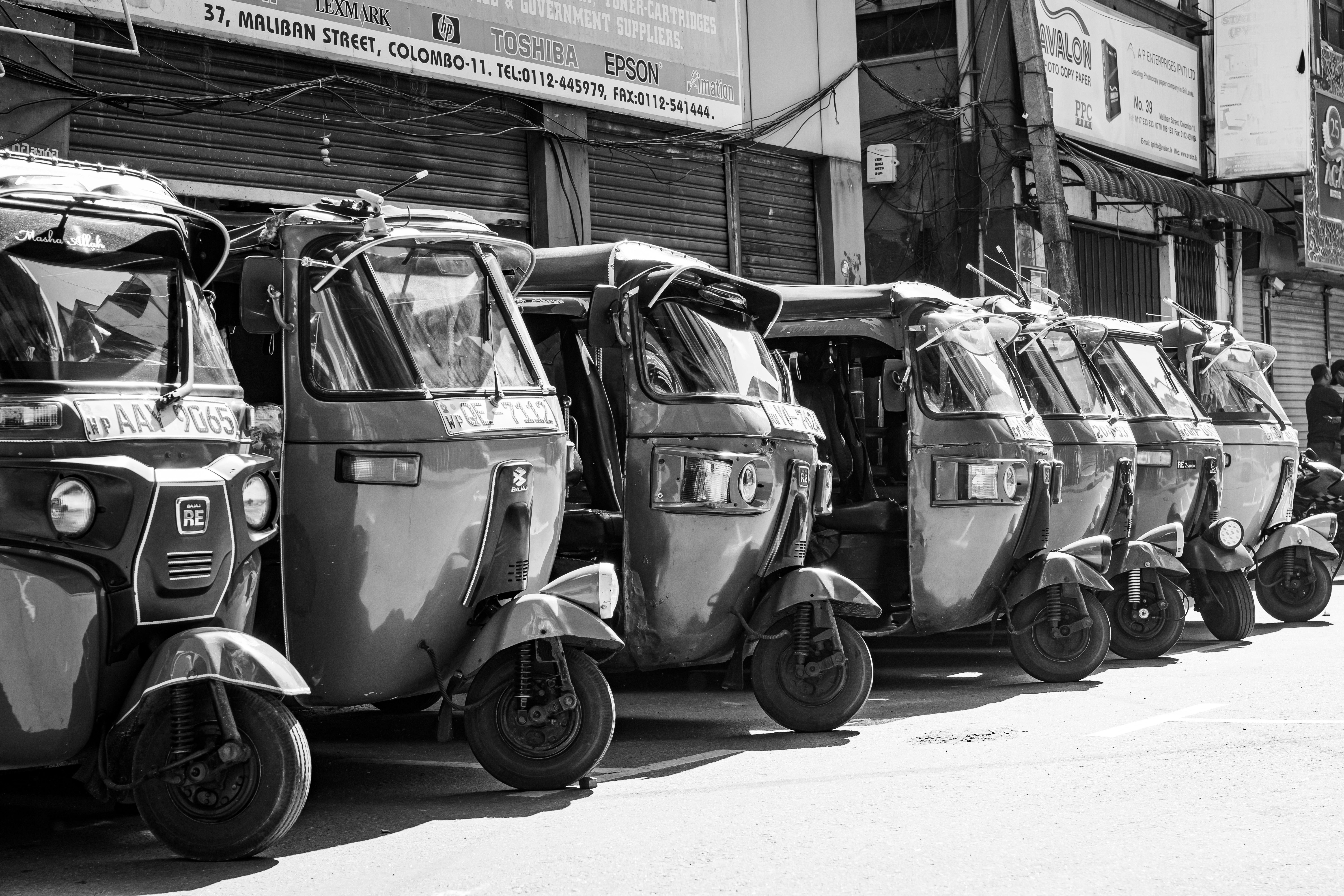 Why Hiring a Local Driver is the Key to Enjoying India's Diverse Wildlife Safaris