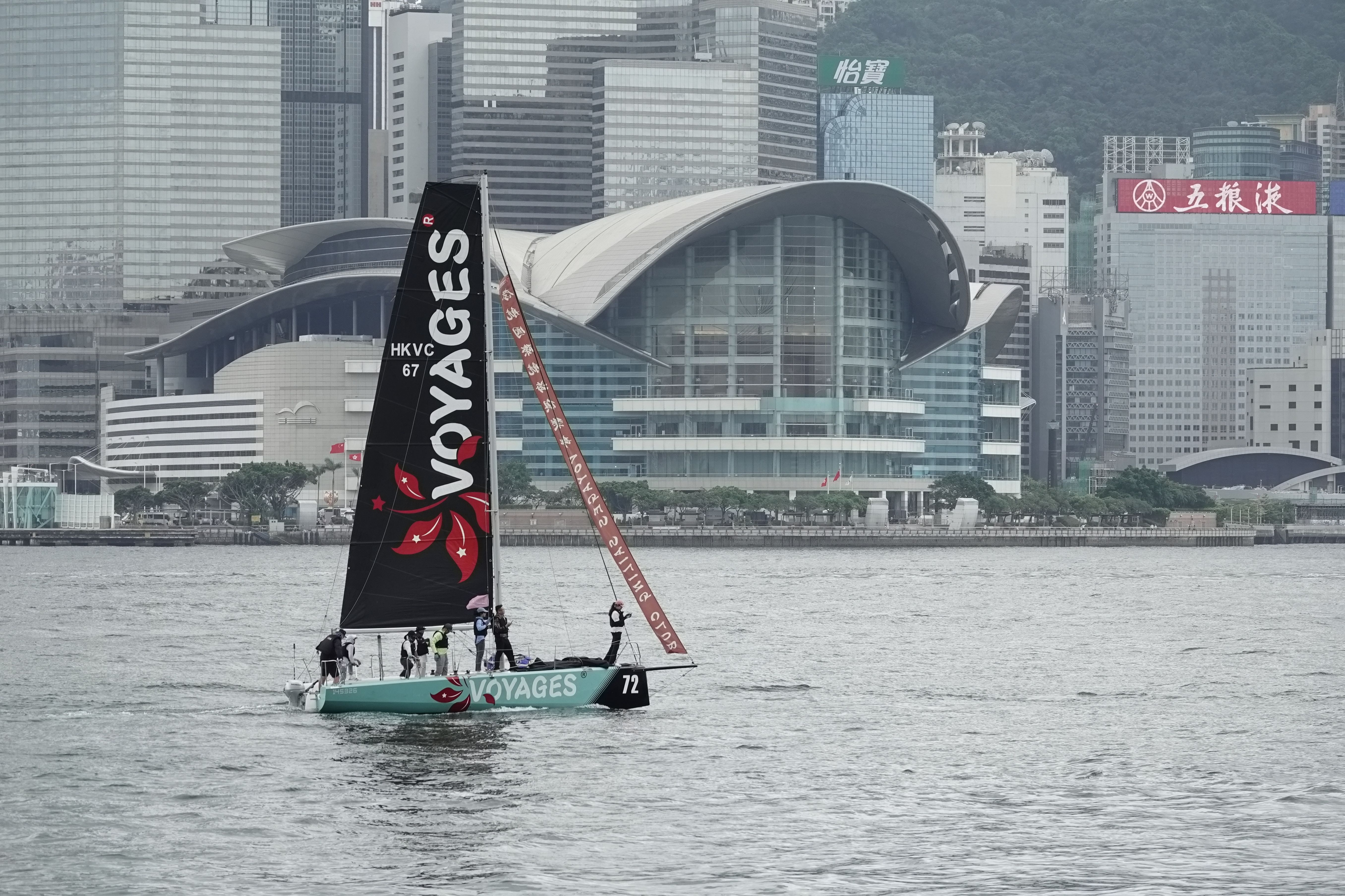 深入香港賽馬：3大平台即時結果實測對比