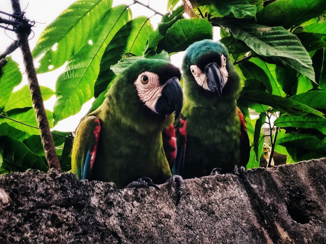 1-Day Sprint: Rapid Strategy Ideation & Presentation