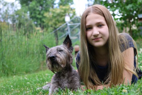 Free A young girl with her Cairn Terrier enjoying a sunny day on a lush lawn. Stock Photo