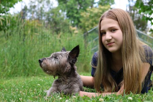 Free Young girl relaxing outdoors with a Cairn Terrier dog on a summer day. Stock Photo
