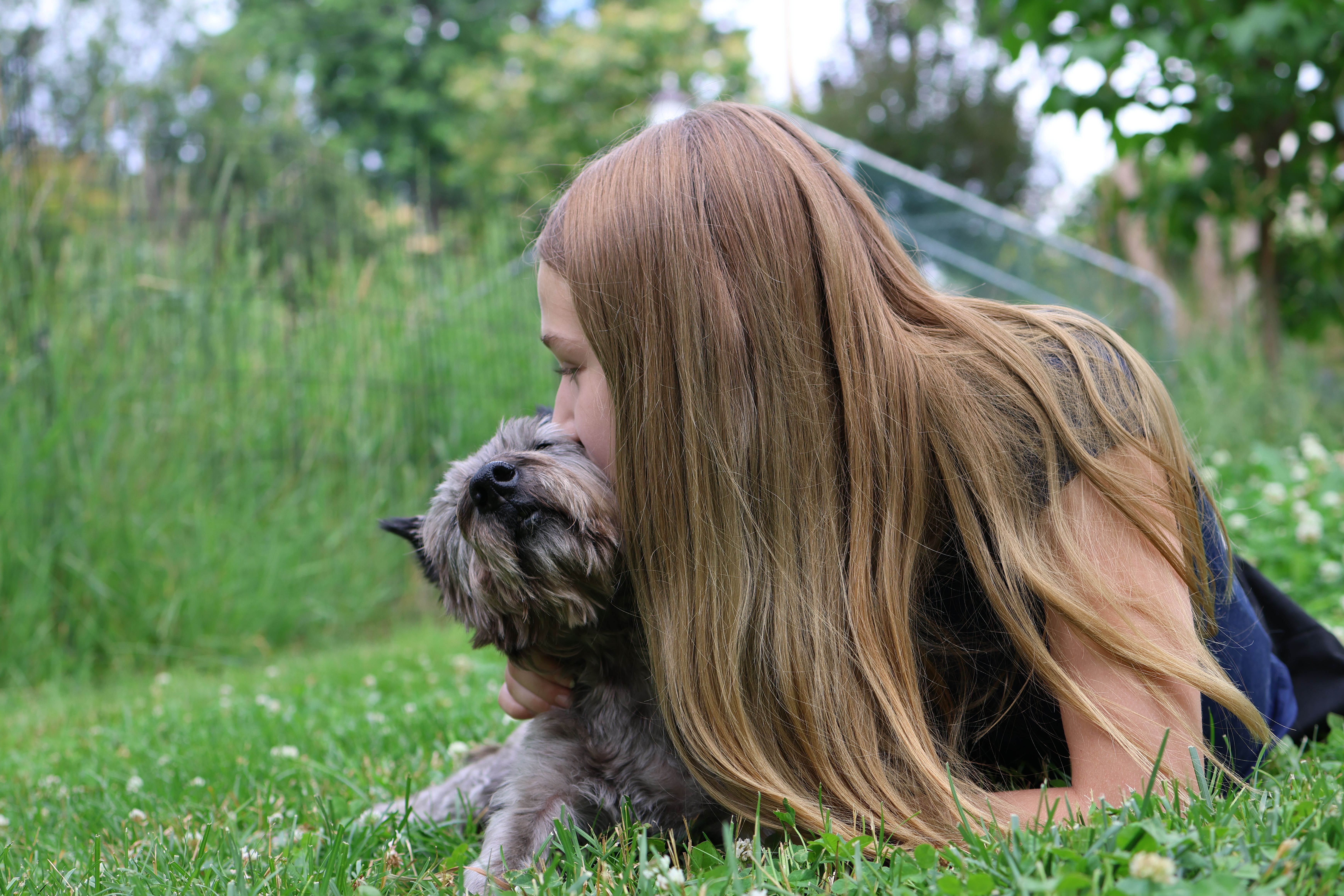 pet technology contact — Photo by Jordan Heinz on Pexels