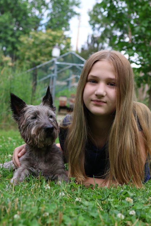 Free A girl and her Cairn Terrier enjoy a summer day in a lush garden in Burnsville, Minnesota. Stock Photo