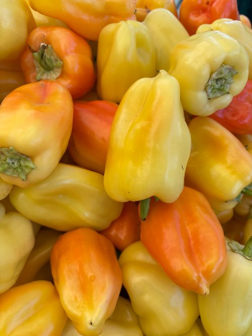 Free Colorful close-up of fresh yellow and orange bell peppers at a market, ideal for healthy cooking themes. Stock Photo