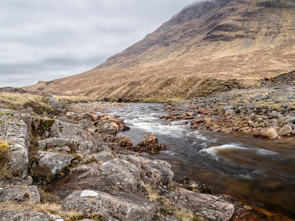 4 Day Yoga, Mindfulness, Walking Retreat in Loch Lomond, Scotland 1