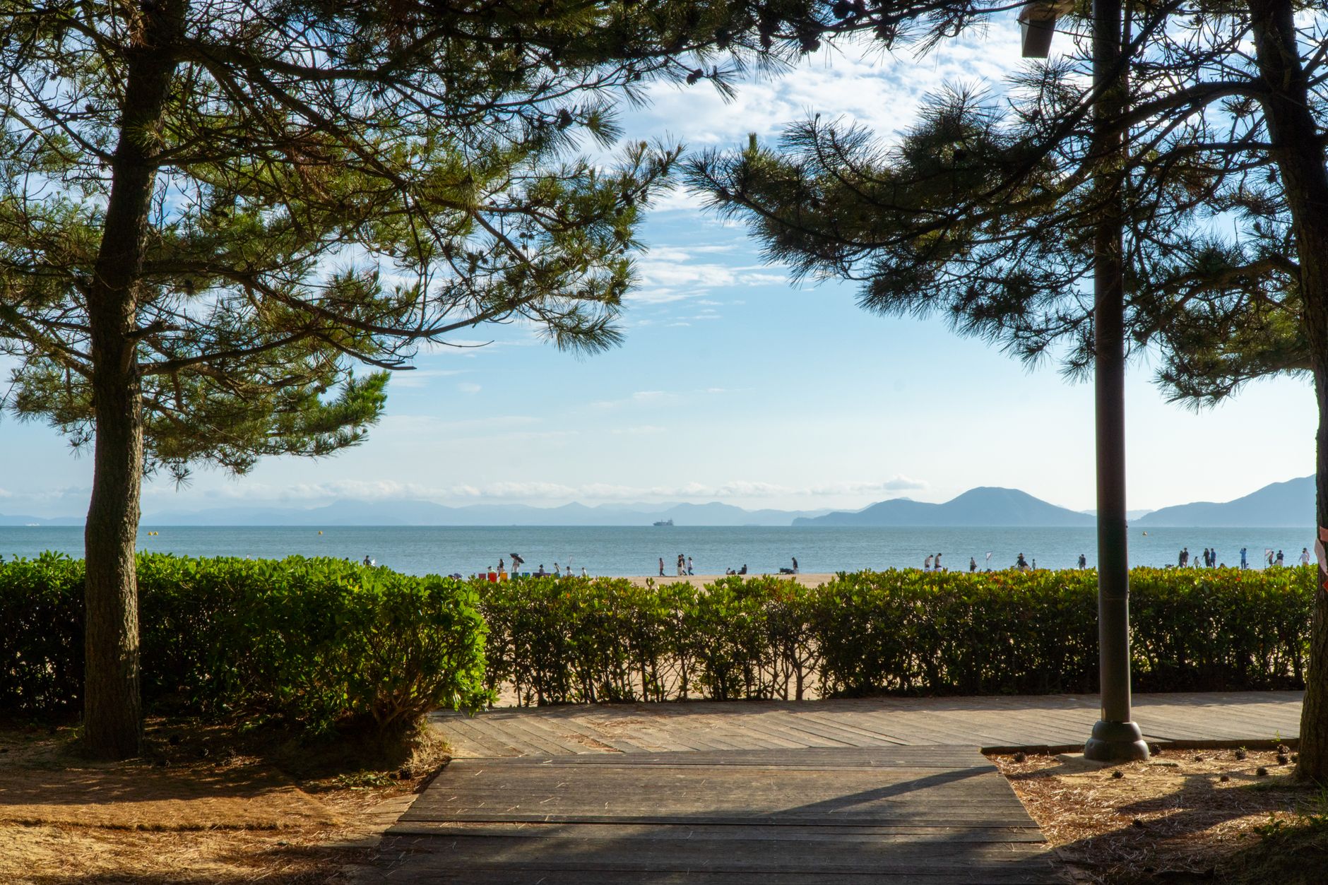 A beautiful beach scene framed by trees and shrubs, with people enjoying the shore in South Korea.