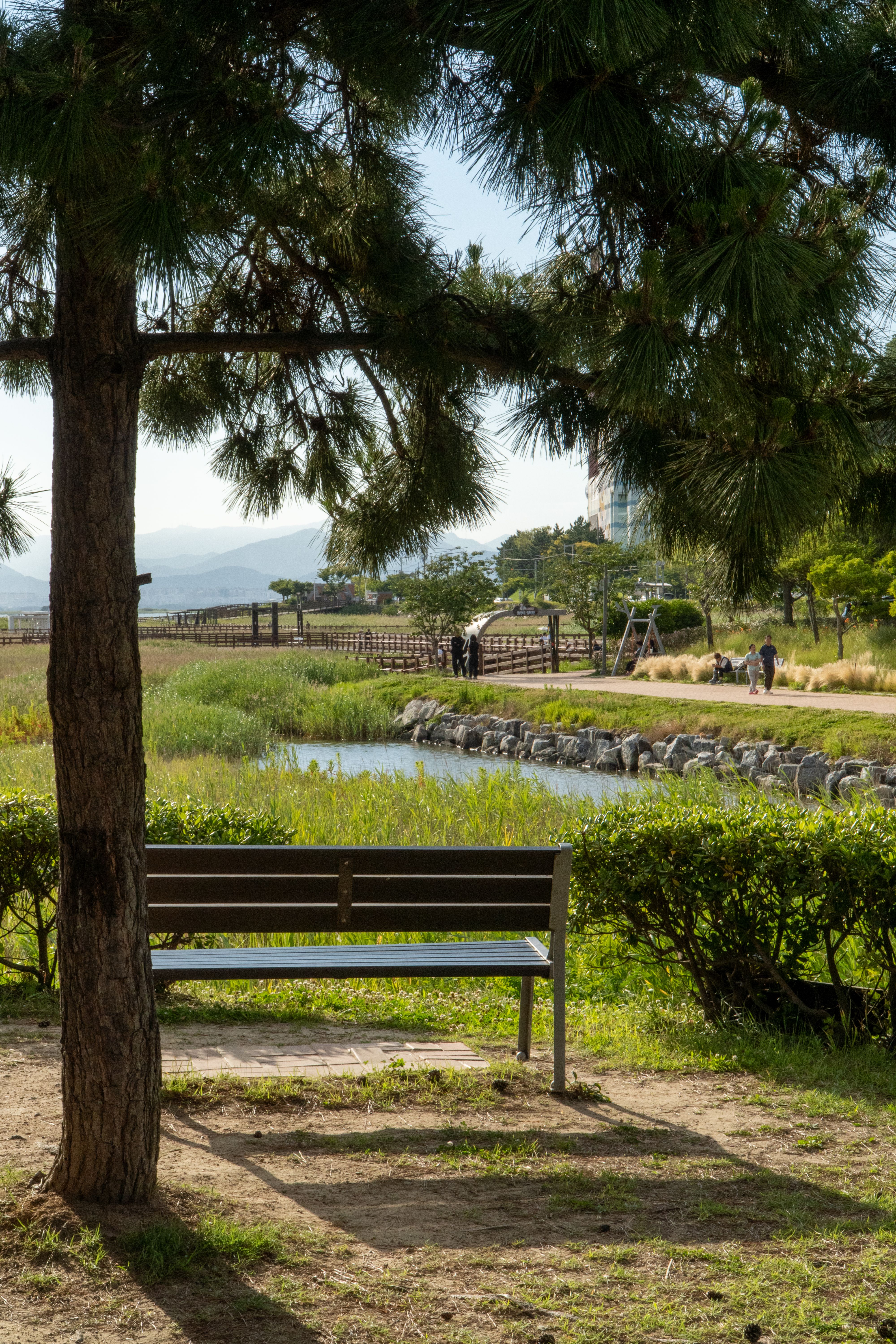 Tranquil park setting in South Korea featuring a shaded bench by a pond.