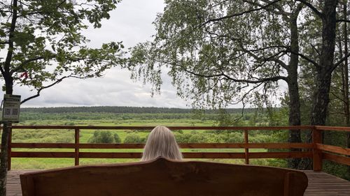 Free A peaceful view of lush green landscape from a wooden deck. Stock Photo