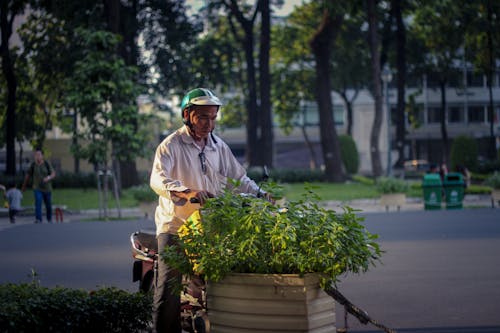Free Man Trimming The Plants Stock Photo