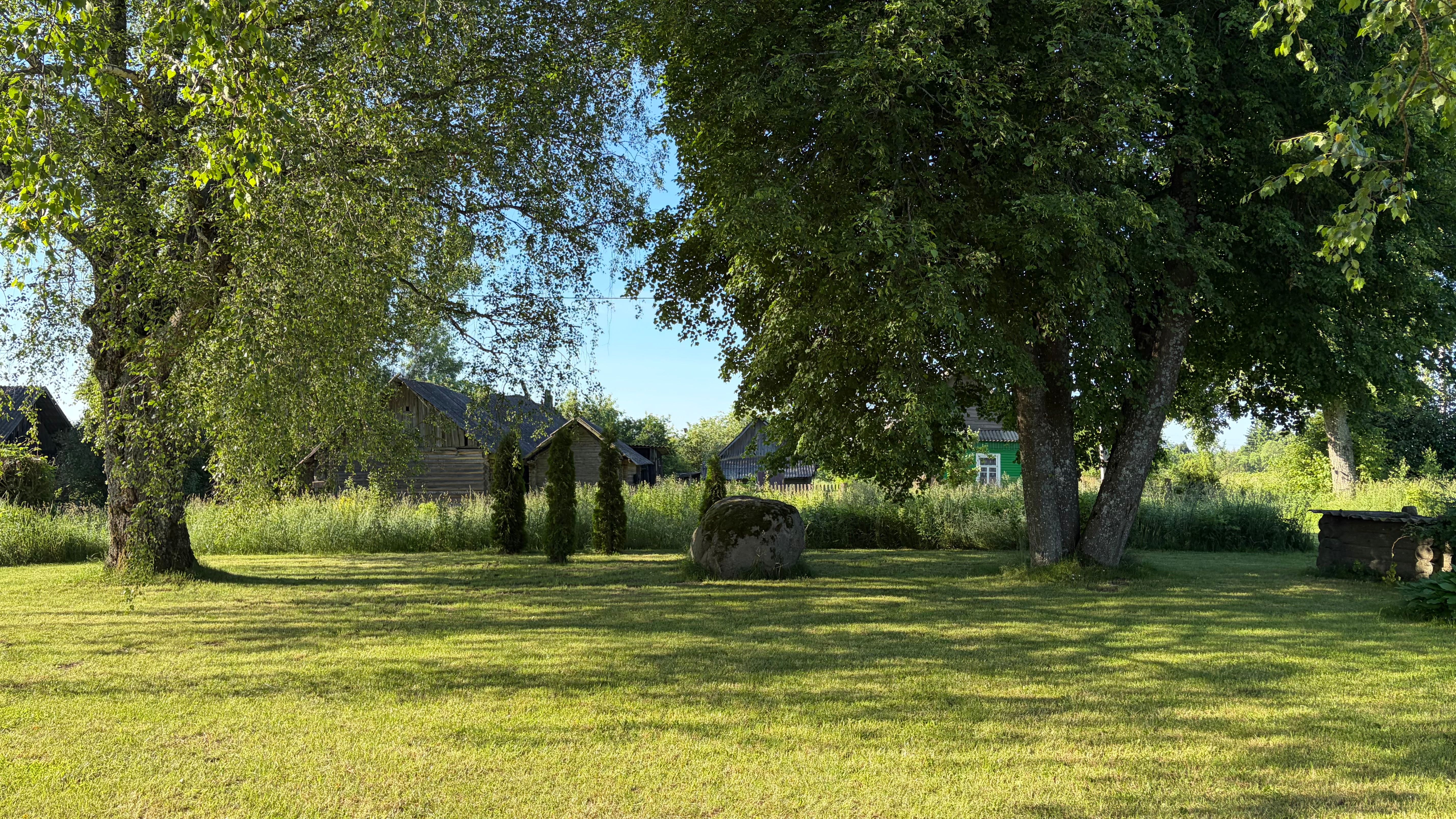 Gazon met groen gras