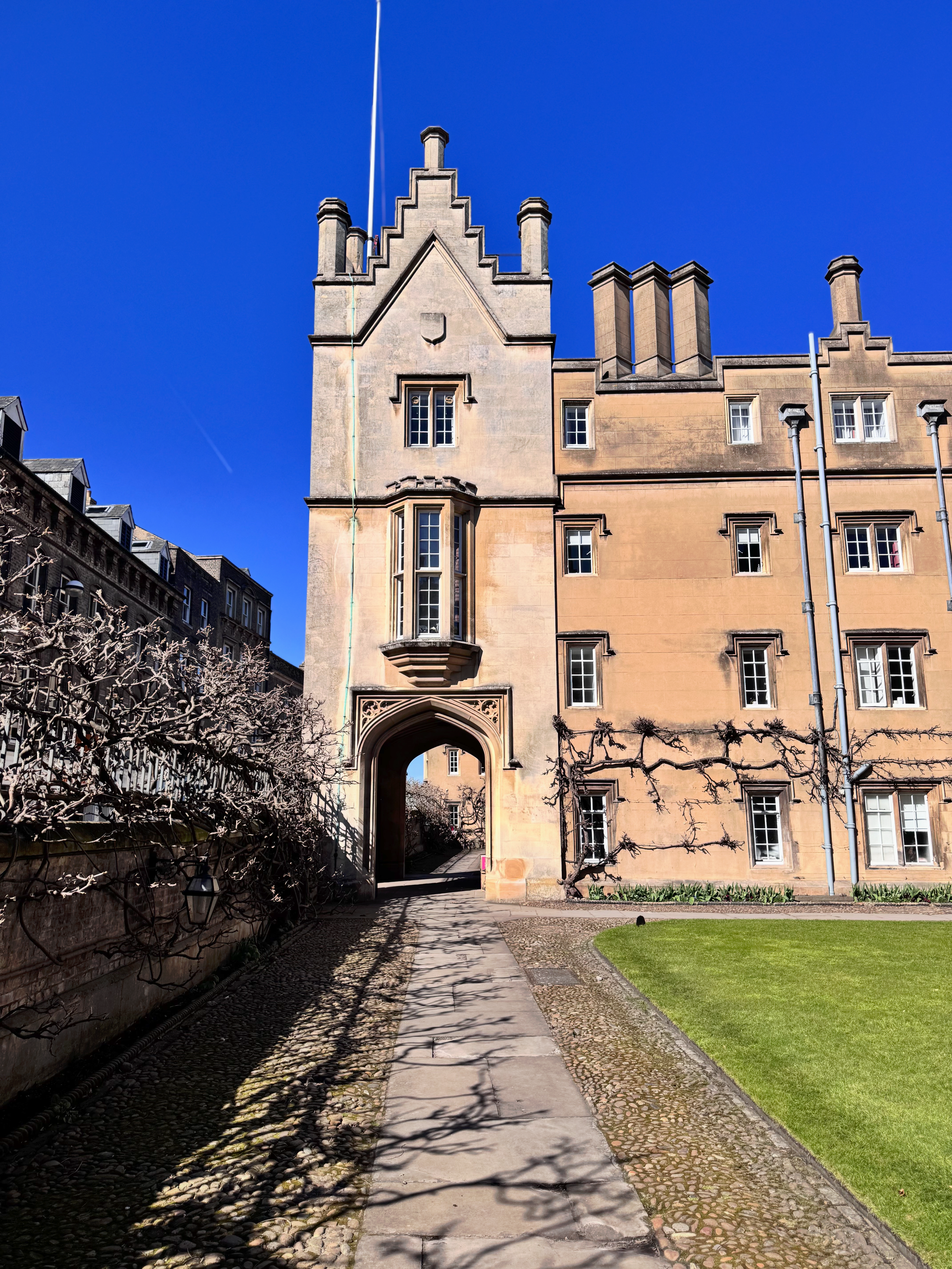 Bývalý profesor Cambridge nájdený mŕtvy uprostred obvinení z plagiátorstva