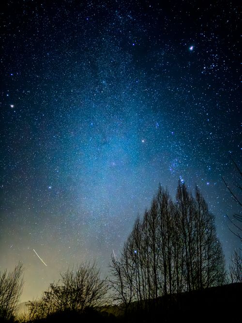 Free A breathtaking view of the star-filled night sky above trees in Happurg, Germany. Stock Photo