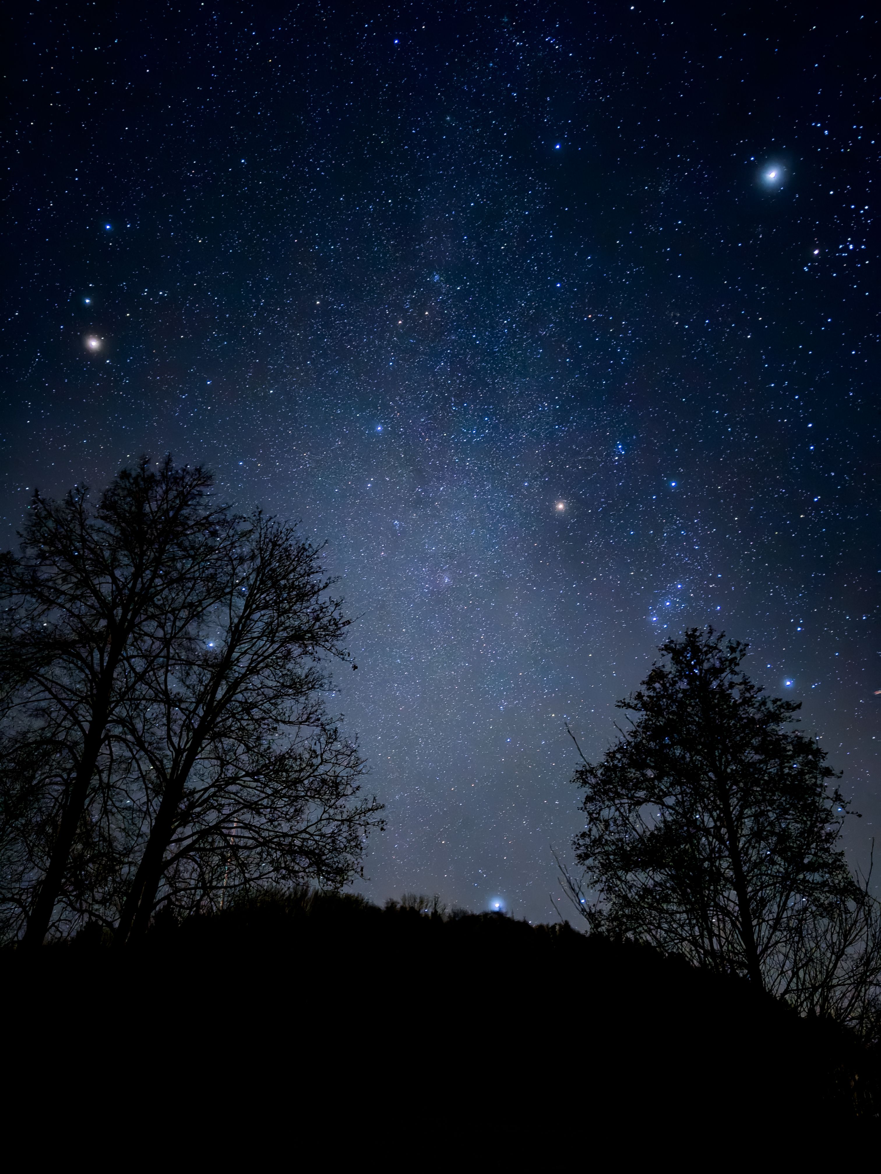 Beautiful starry night sky over Happurg with silhouetted trees in the foreground.