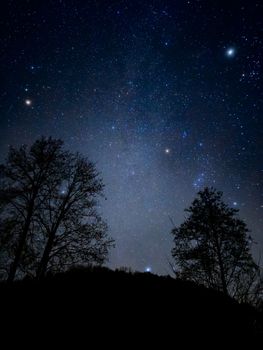 Beautiful starry night sky over Happurg with silhouetted trees in the foreground.