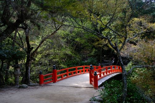 Free Peaceful scene of a red bridge surrounded by vibrant green foliage in a traditional Japanese garden. Stock Photo