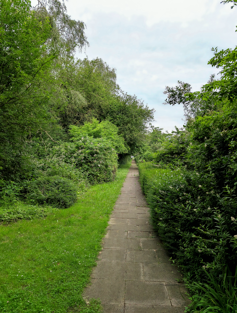 Paved Path Photos, Download The BEST Free Paved Path Stock Photos & HD ...