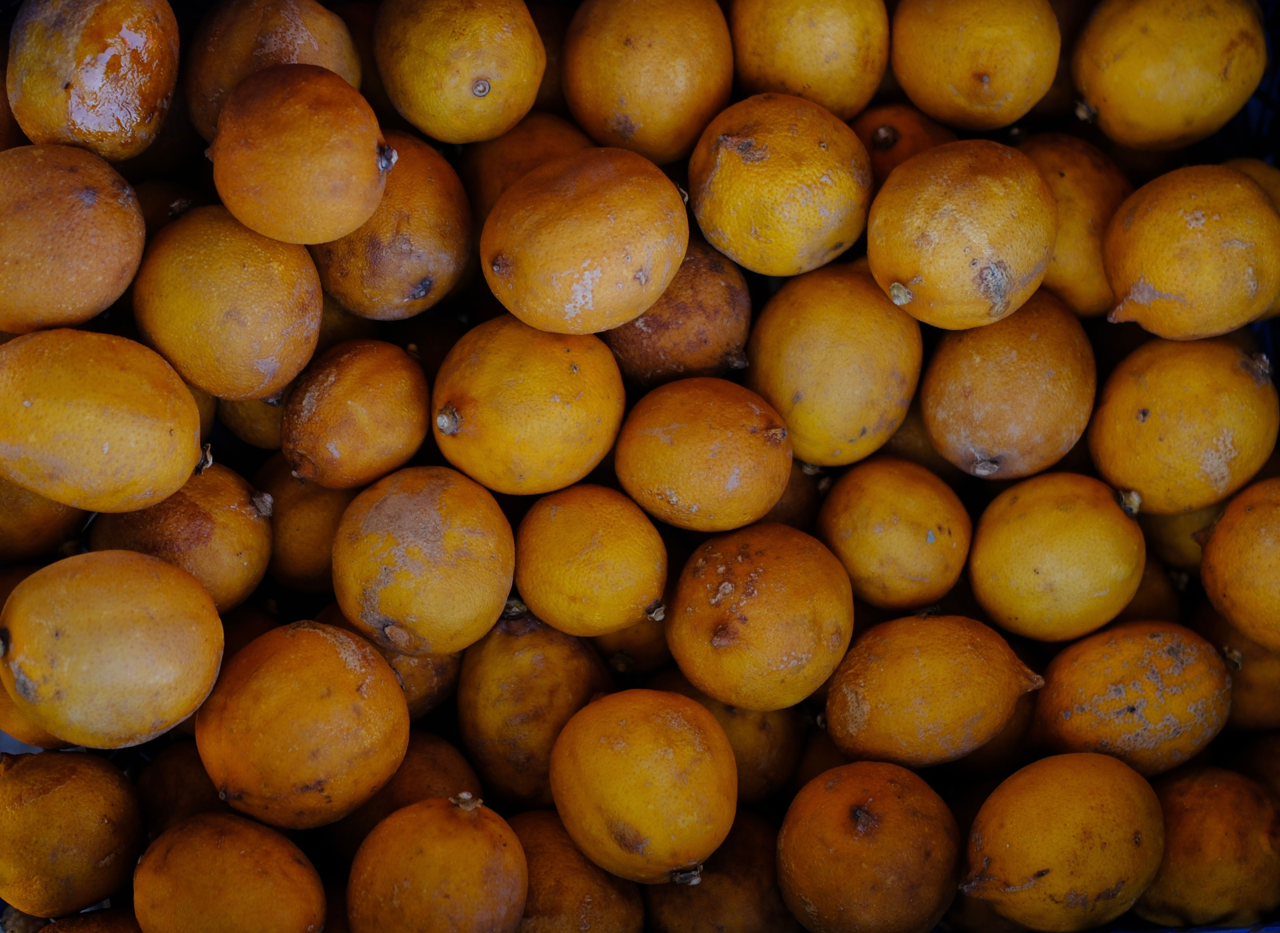 Feria Agroecológica y Mercado de Productores Locales en Donostia