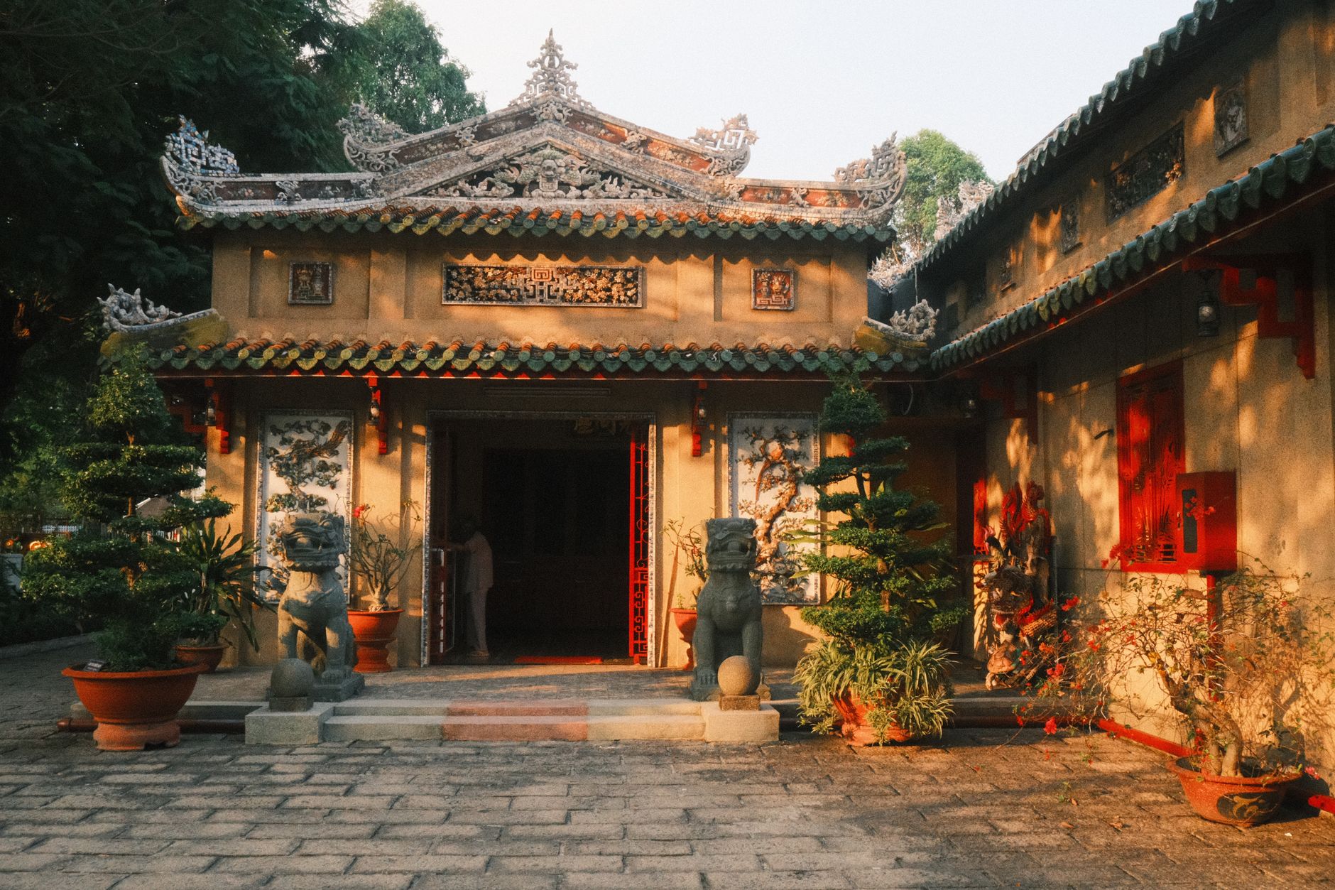 The Ultimate Vietnam Travel Guide: From Sapa's Terraces to the Mekong Delta
