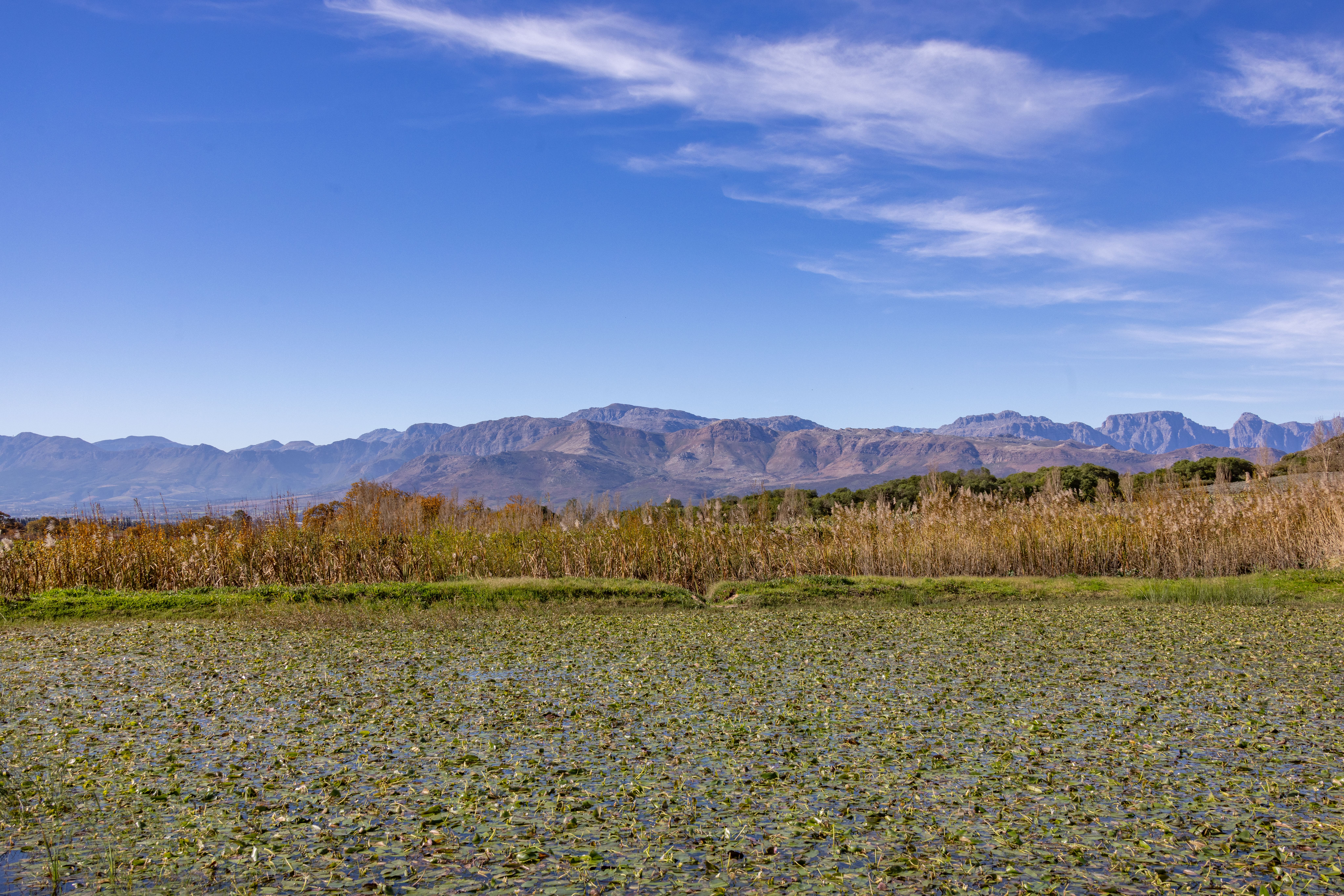 2 Day SUP Safari & Hiking MICRO Retreat, Cape Town, South Africa 1