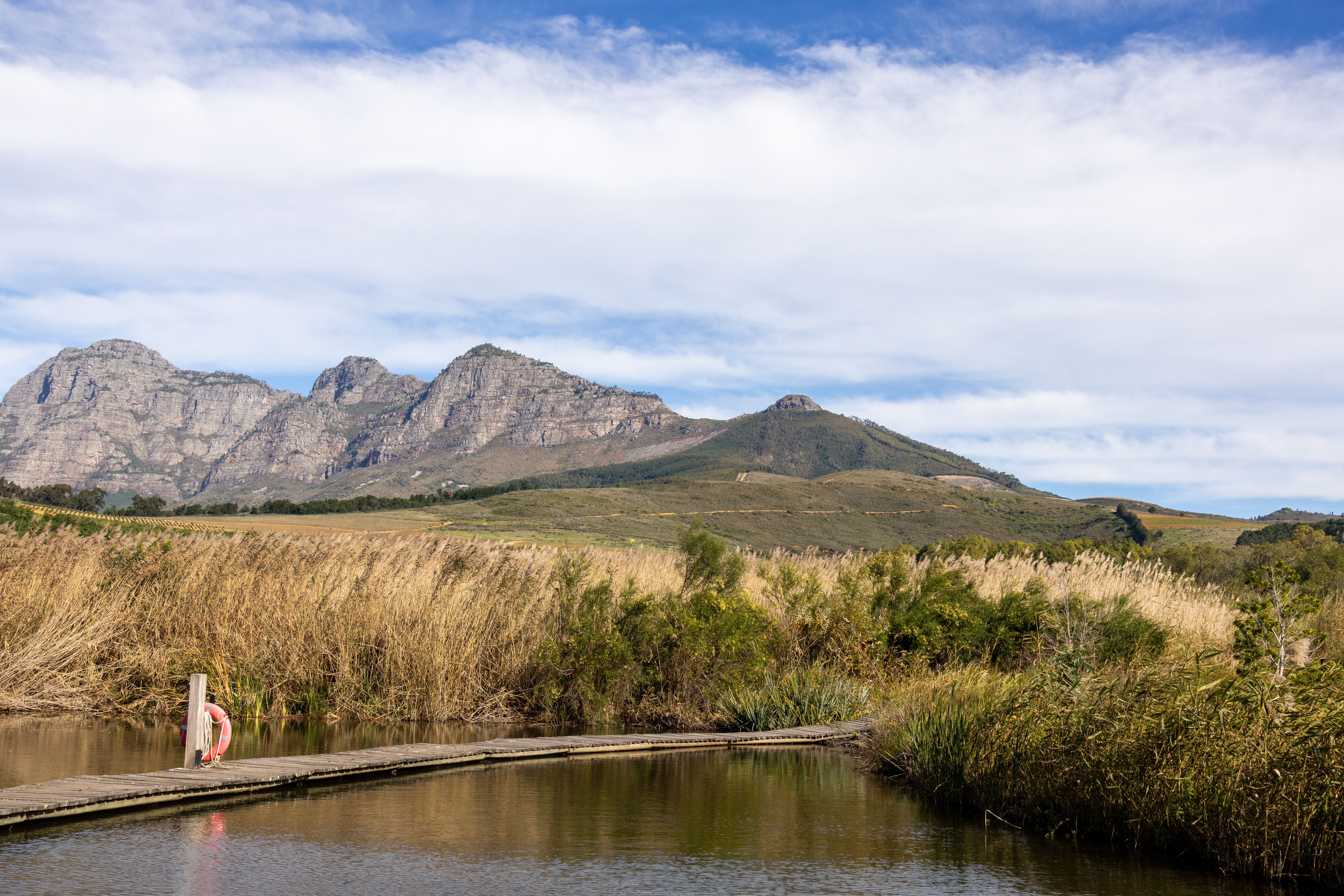 Stellenbosch, South Africa — a travel moment · stay connected with a Stellenbosch eSIM from My Holiday SIM