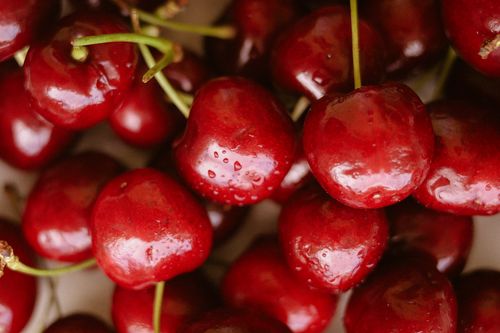 Free Close-up view of fresh ripe cherries with water droplets, showcasing their vibrant red hue. Stock Photo