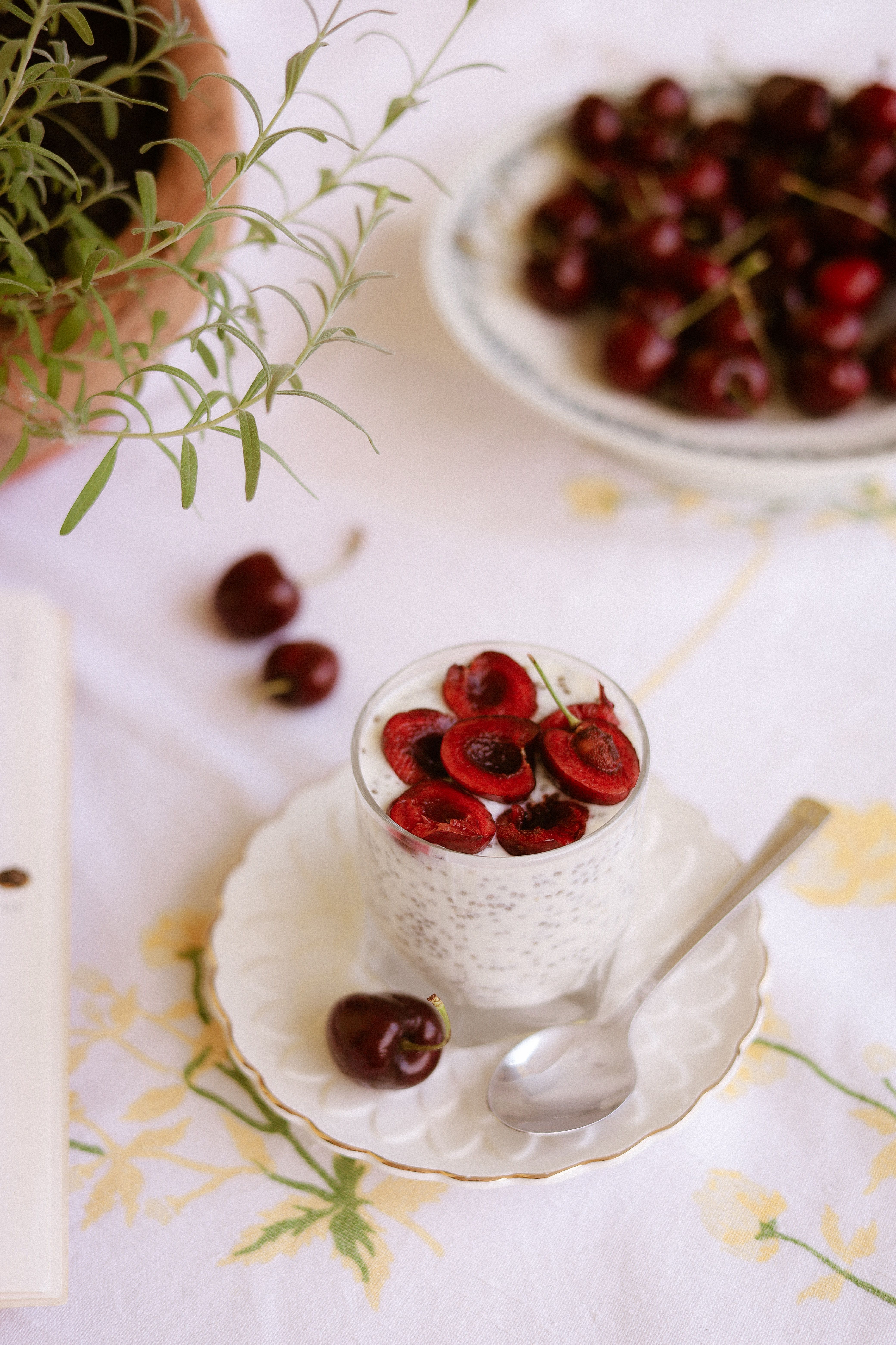 Creamy chia pudding topped with fresh cherries, perfect for a healthy summer treat.