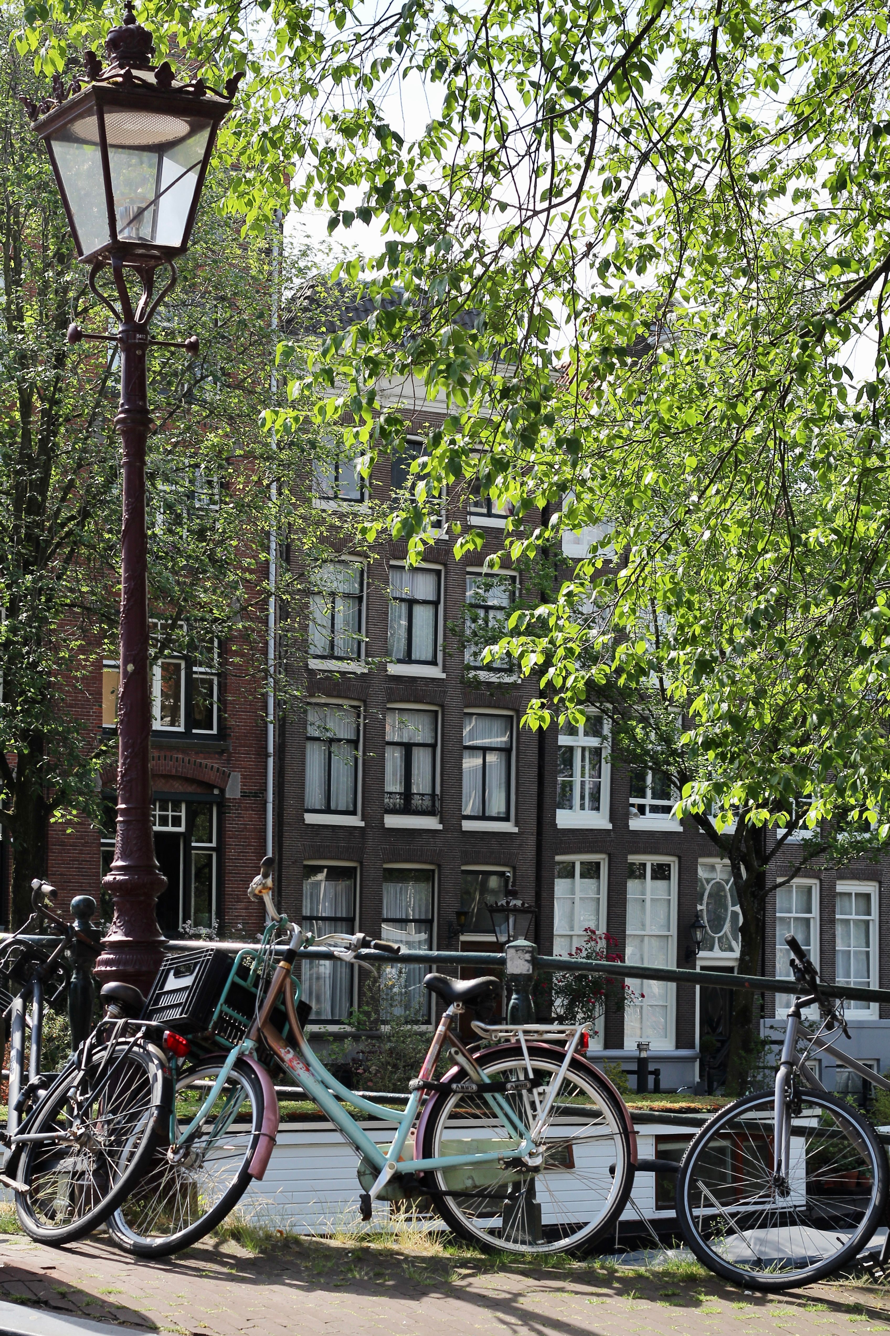 A picturesque scene of bicycles and canal houses in Amsterdam during summer.