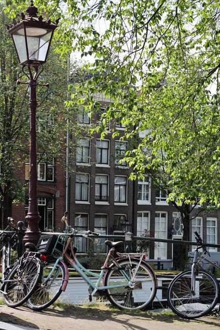 A picturesque scene of bicycles and canal houses in Amsterdam during summer.