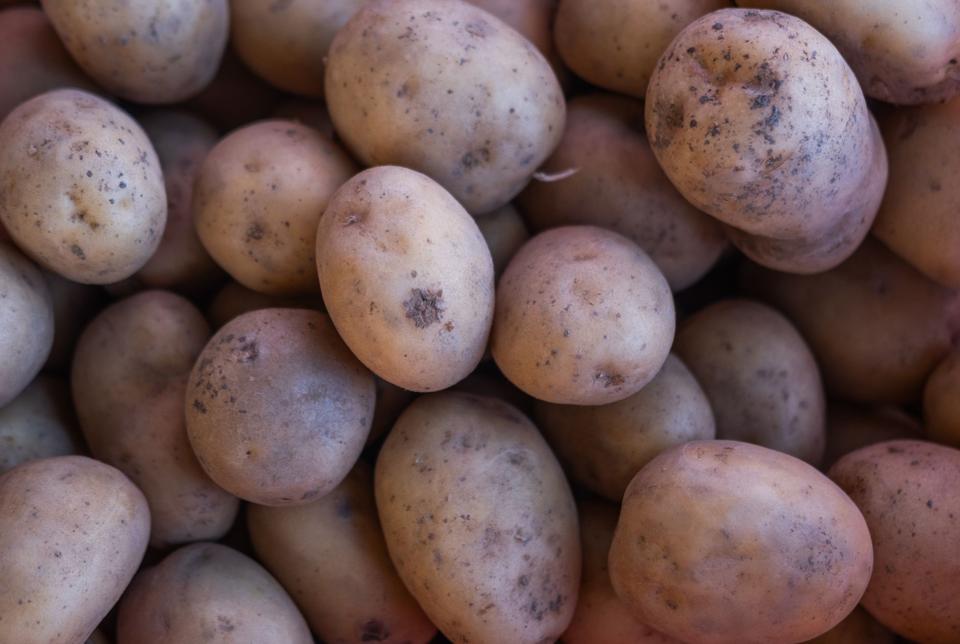 Resistant Starch: Your Gut's Secret Weapon for Stable Blood Sugar & Weight Management