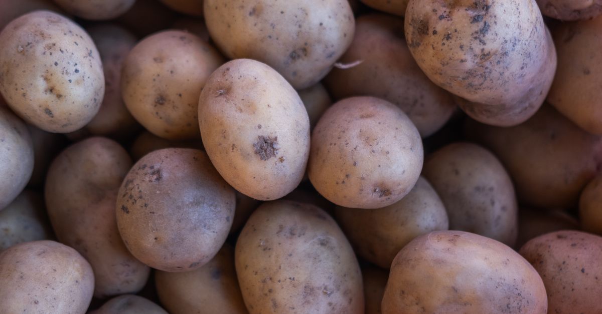 A vibrant close-up of fresh potatoes displayed at a market in İzmir, Türkiye, showcasing their earthy texture. - Evidence evidence guide for resistant starch metabolic health randomized trial