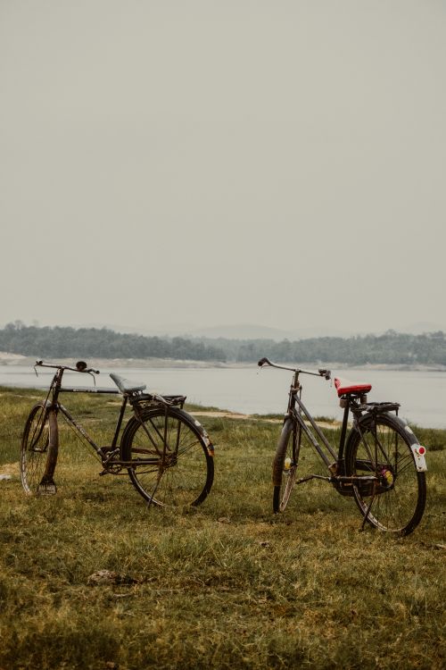 Free Two vintage bicycles parked on a grassy field by a tranquil lakeside with distant trees. Stock Photo