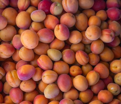 Close-up of vibrant apricots displayed in a market setting, showcasing their fresh, natural appeal.