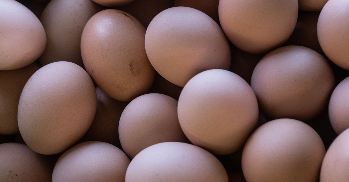 IIHM Introduces Egg Bank to Combat Child Malnutrition
