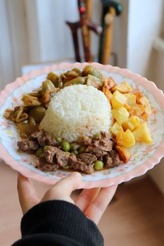Delicious dish with rice, vegetables, and beef on a floral plate held by a hand