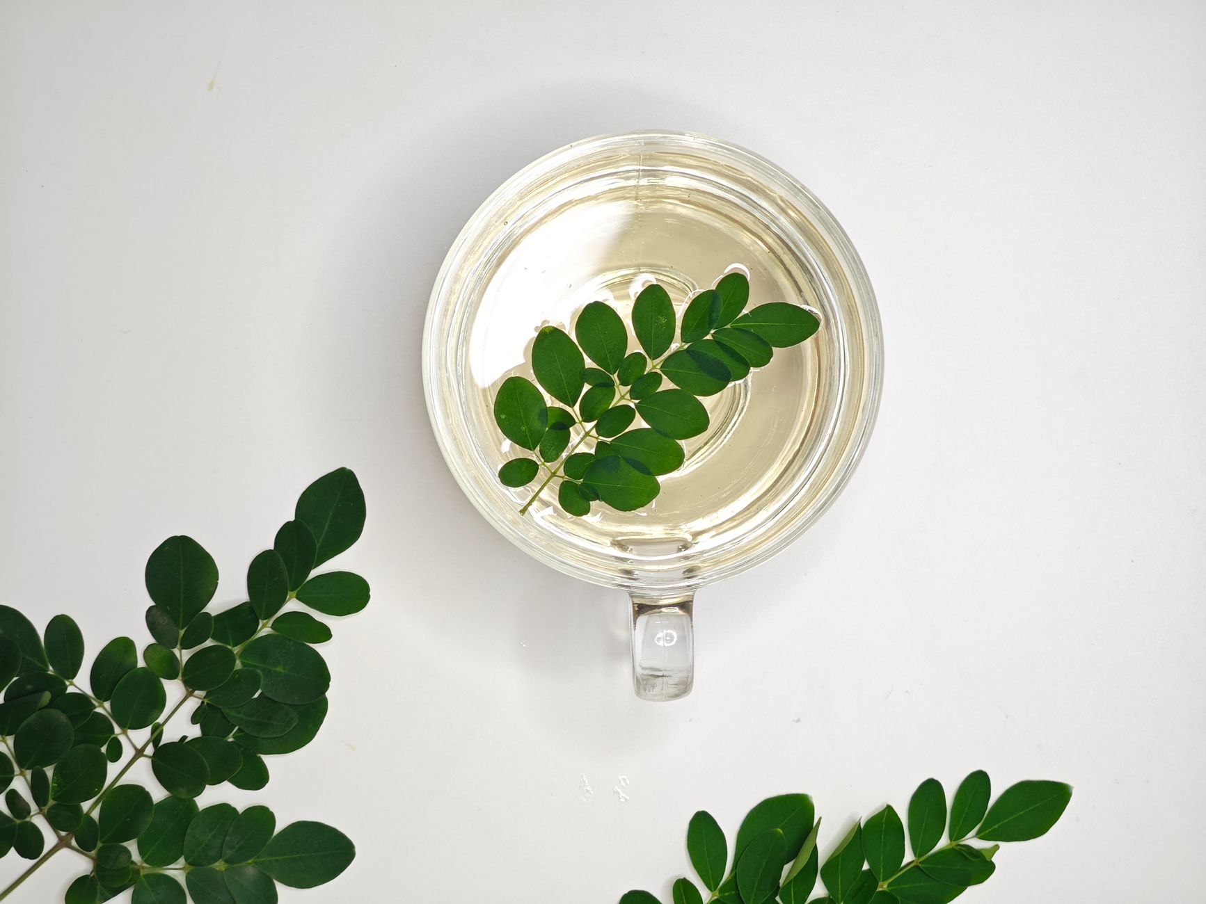 soursop tea benefits, What The Leaf Compounds Behind Its Traditional Appeal soursop tea benefits, What The Leaf Compounds Behind Its Traditional Appeal