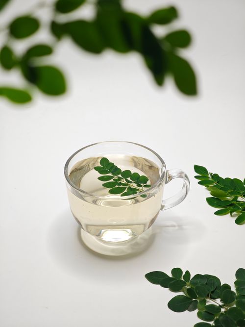 Free Glass cup of moringa tea with fresh leaves on white background. Perfect for healthy living concepts. Stock Photo