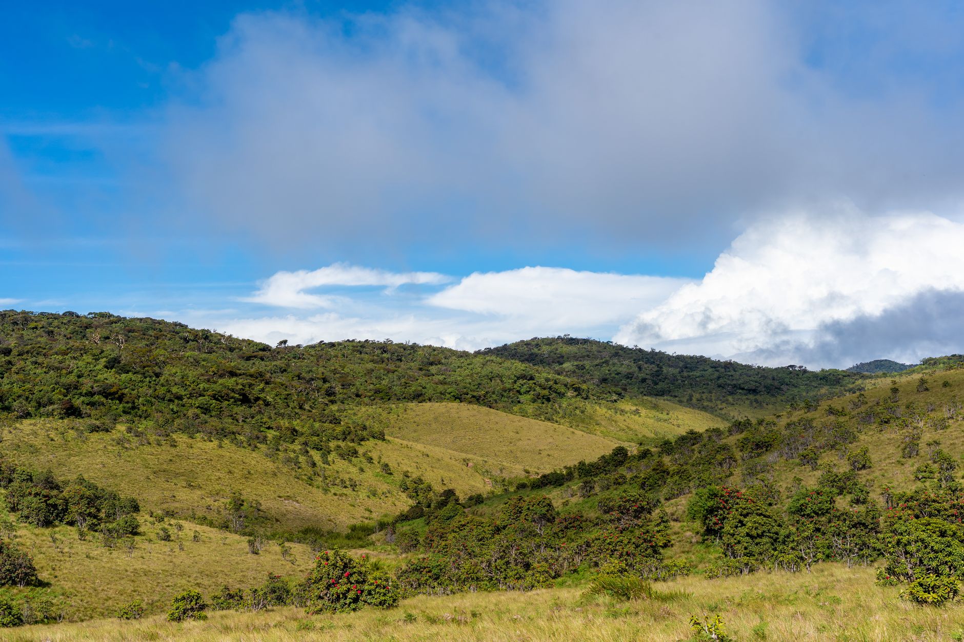Horton Plains National Park: A Complete Walking Guide