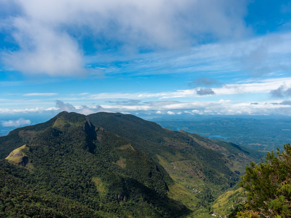 14 Day Detox & Recharge Retreat in Nature, Sri Lanka 3