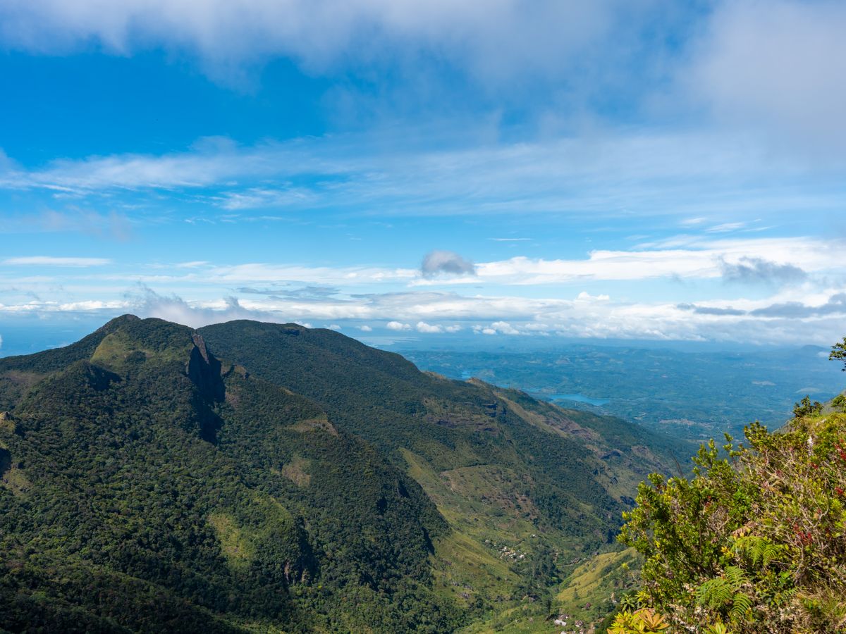 5 Day Detox & Recharge Retreat in Nature, Sri Lanka 3