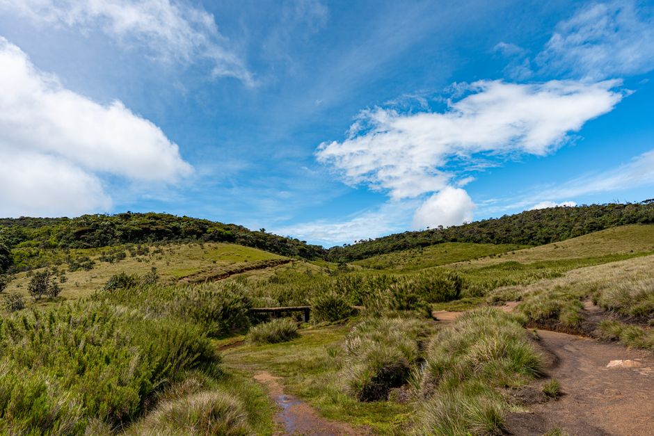Expansive view of Horton Plains with lush greenery and blue sky in Central Province, Sri Lanka.