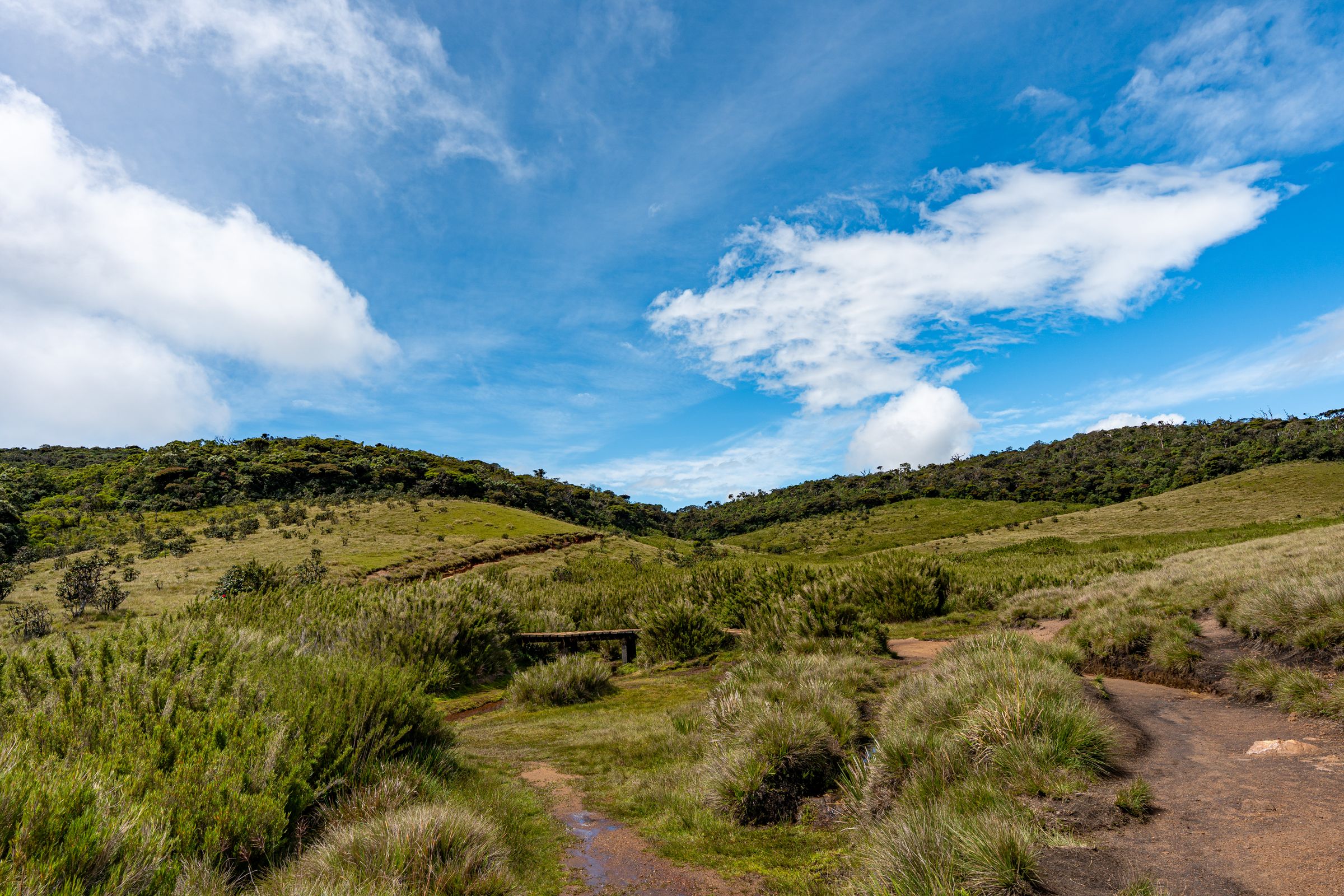 Horton Plains