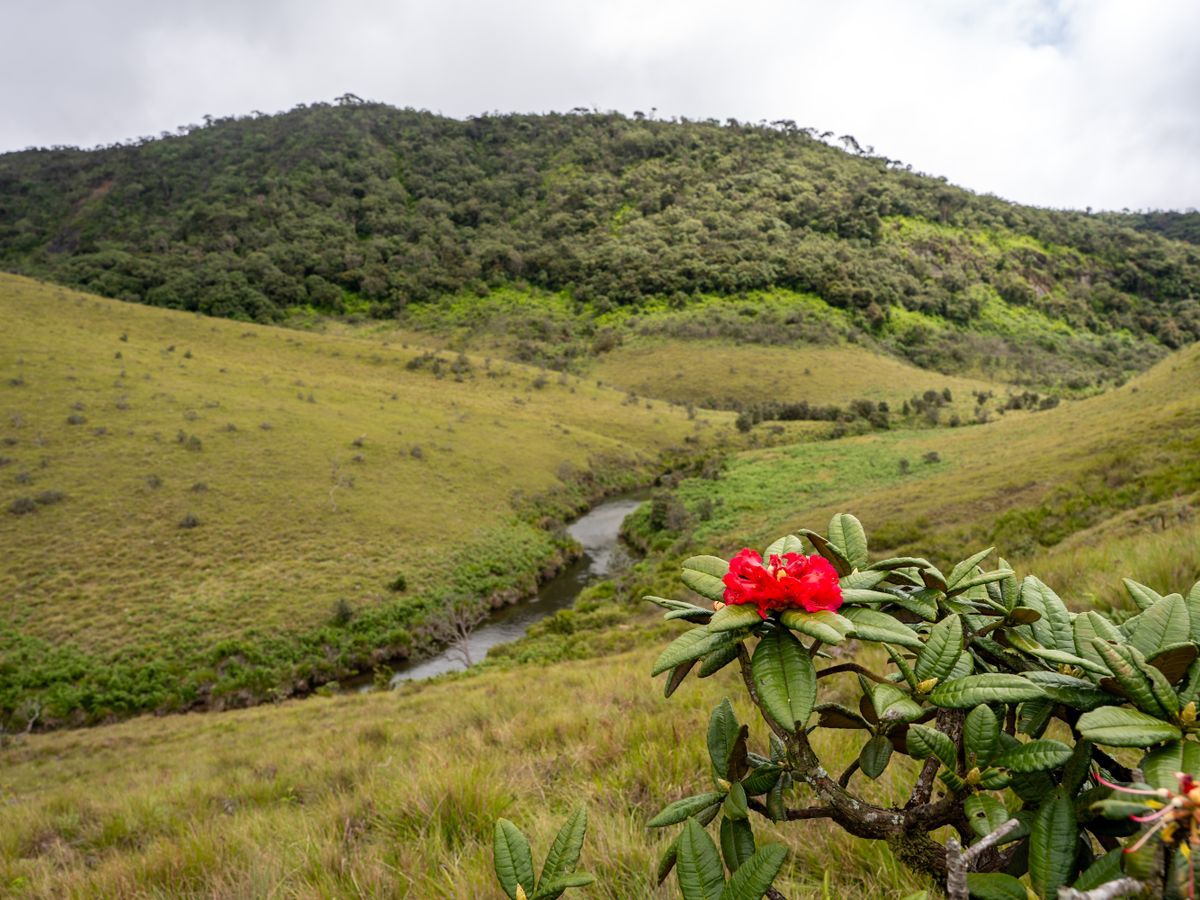 5 Day Jungle, Village & Yoga Experience in Sri Lanka 2