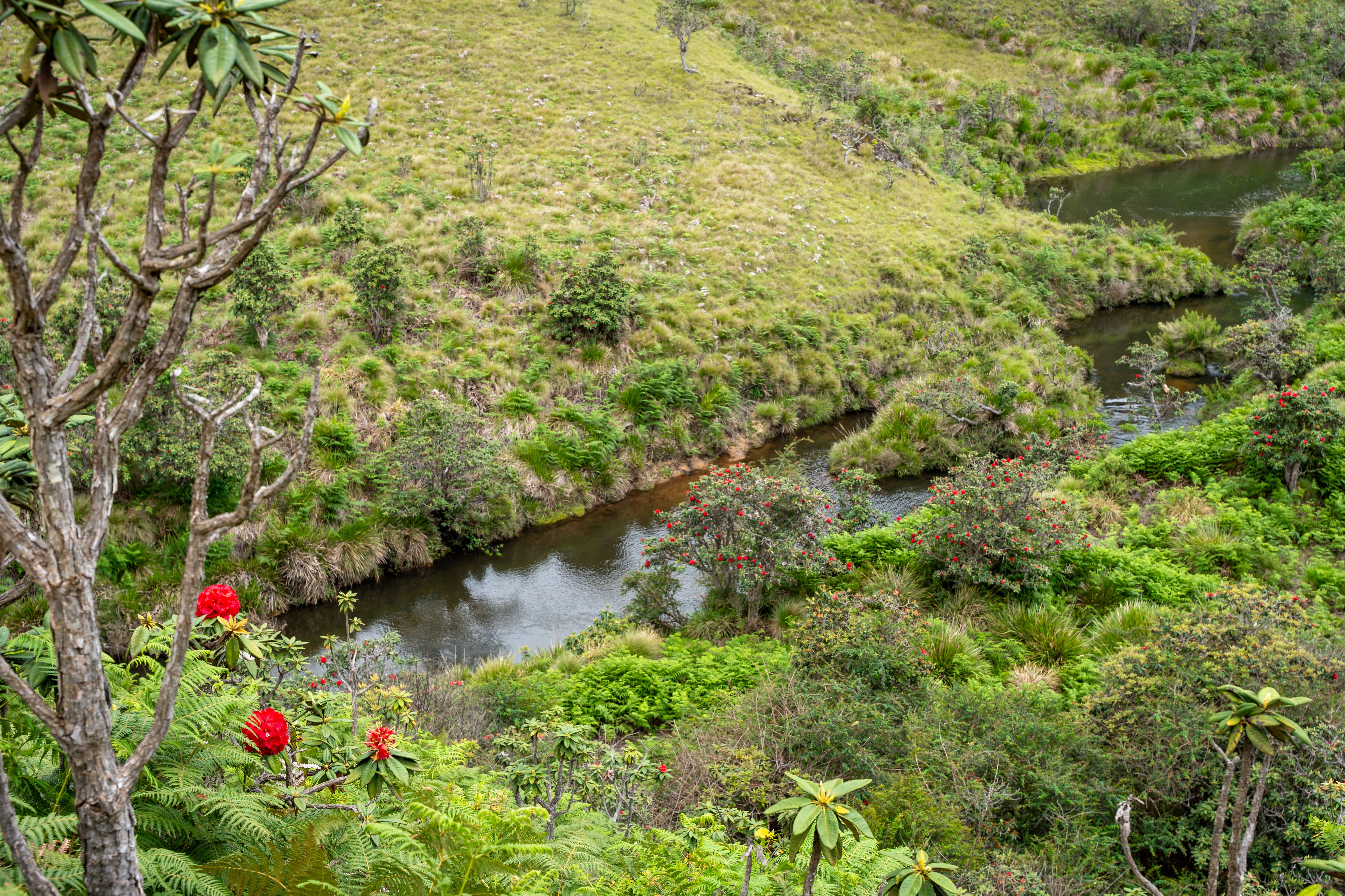10 Day Yoga Holiday at Villa My Way in Sri Lanka 2