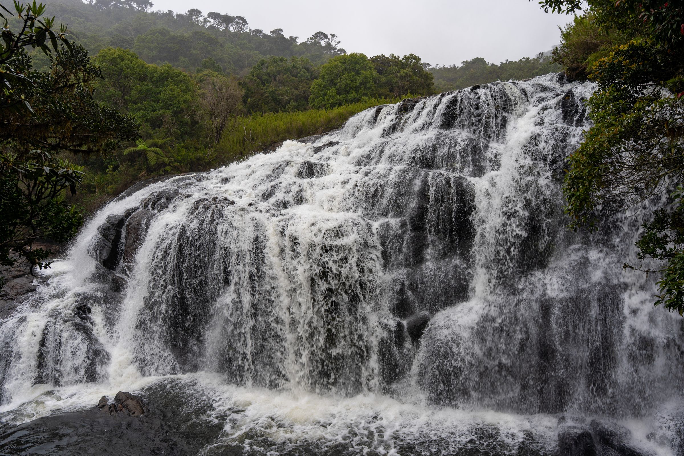 Raften Kitulgala