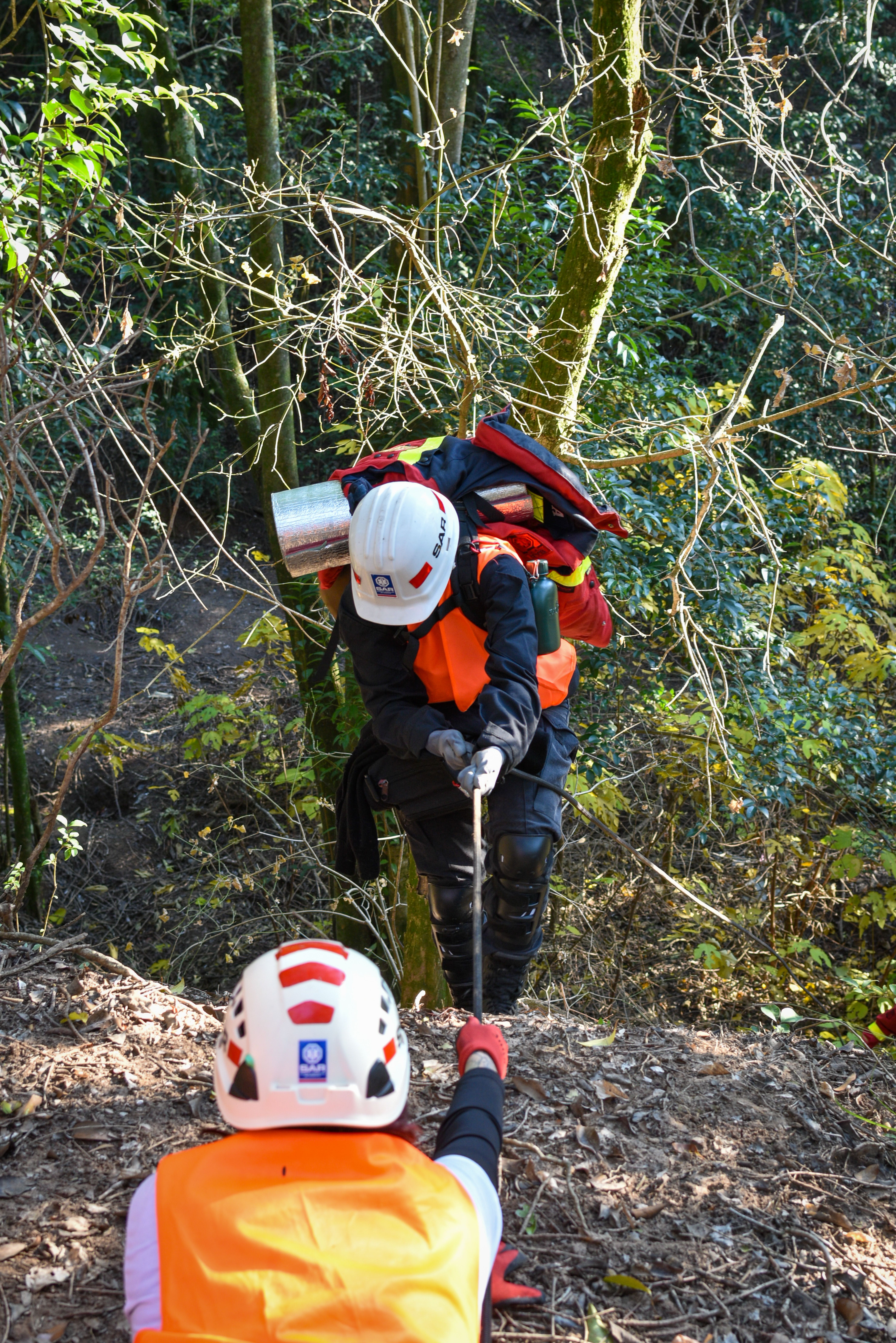 Rescue team members assist each other on a steep forest trail wearing safety gear.