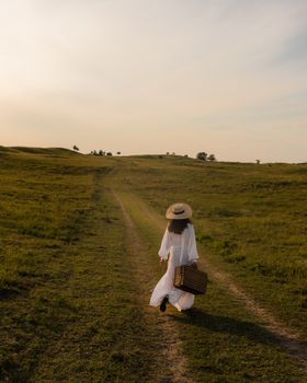 夏日里，一位身穿白色连衣裙的女子提着行李箱走在宁静的乡村小路上。